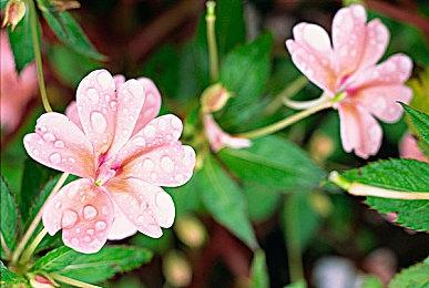 《艾尔登法环》暂停Mod发布 可随时暂停游戏